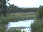 Пойма реки Айдар в посёлке Ровеньки Ровеньского района Белгородской области